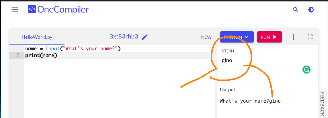 python online compiler with input