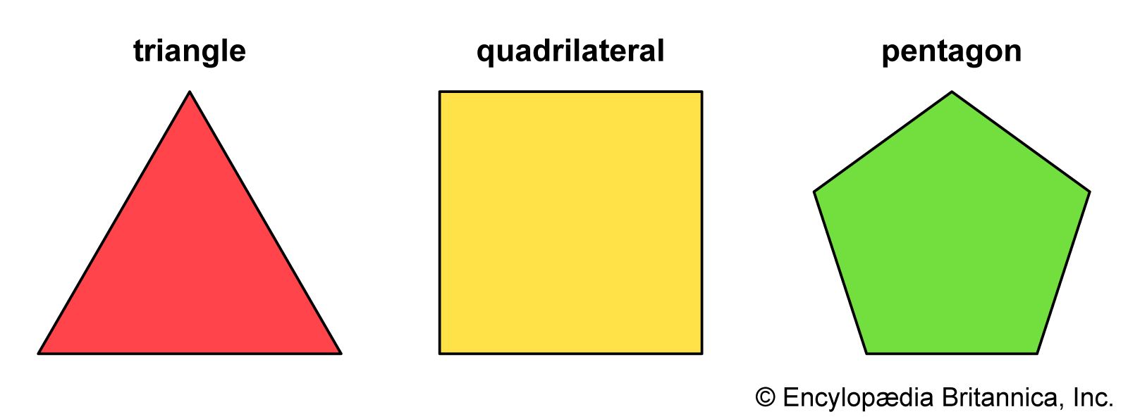 polugon significado